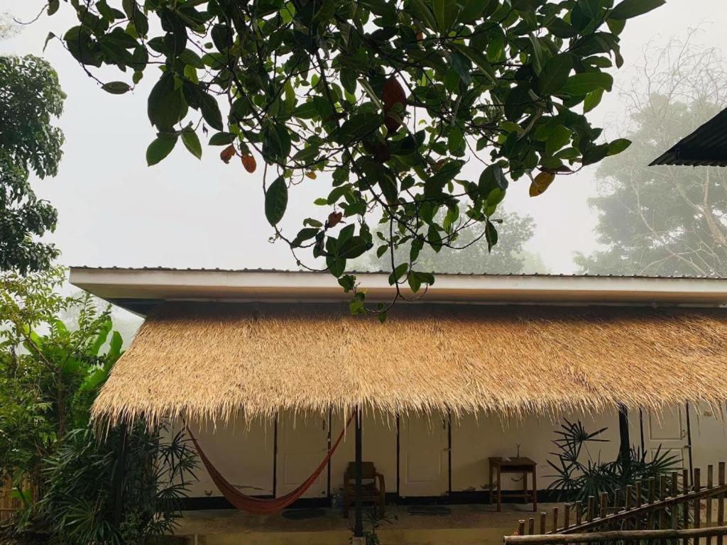 Pai Yard Guest House Exteriér fotografie