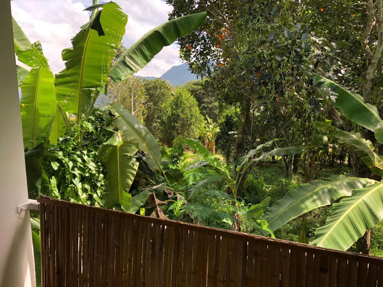 Pai Yard Guest House Exteriér fotografie